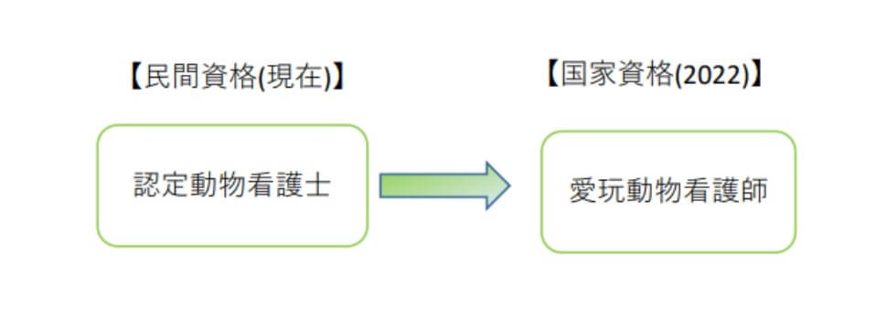 動物看護師が国家資格化 資格取得の流れと業務範囲について 動物看護師が国家資格化 資格取得の流れと業務範囲について