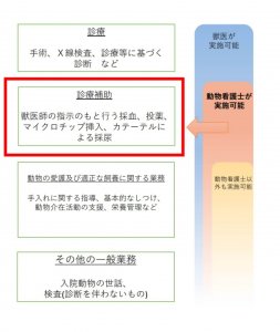 動物看護師が国家資格化 資格取得の流れと業務範囲について 動物看護師が国家資格化 資格取得の流れと業務範囲について