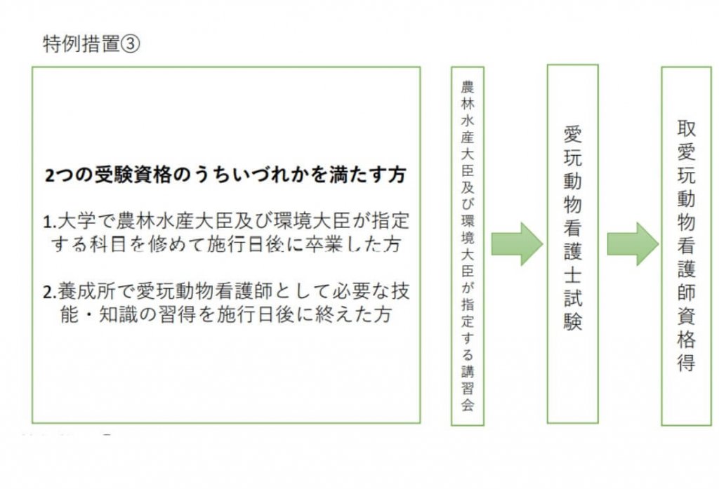 動物看護師が国家資格化 資格取得の流れと業務範囲について 動物看護師が国家資格化 資格取得の流れと業務範囲について