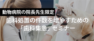 継続的に歯科処置月１０件以上達成する動物病院づくり